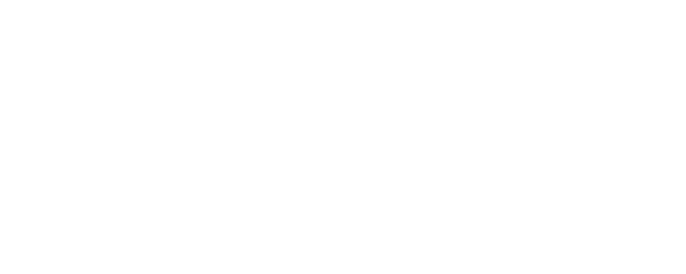 Snow Flower logo