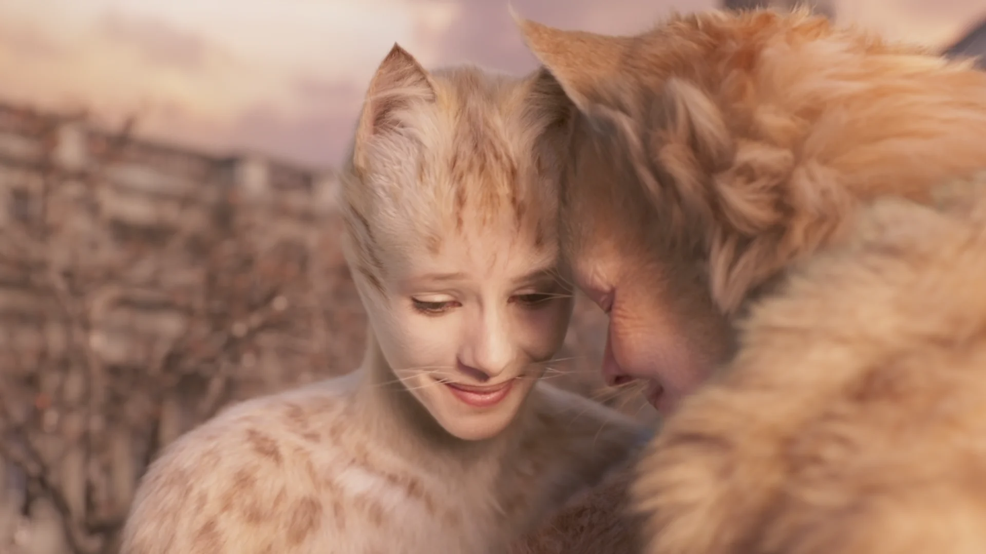 Cats