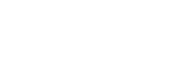 Voice logo