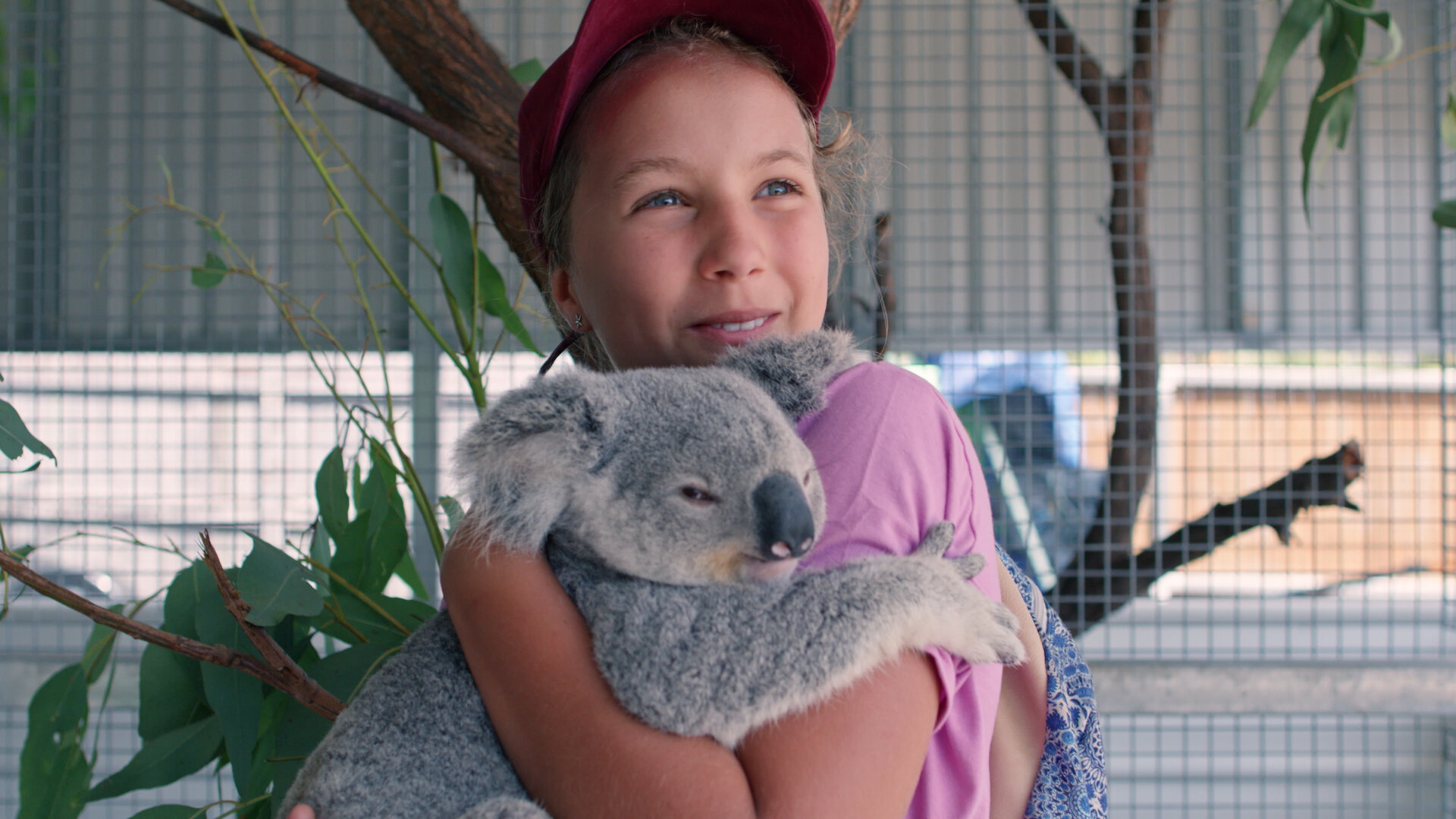 Izzy's Koala World