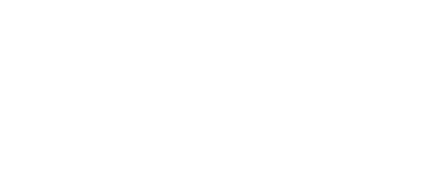 The Informer logo