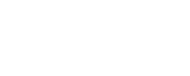 The Divine Fury logo