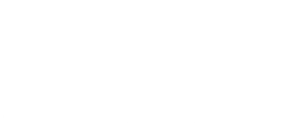 The Divine Fury logo