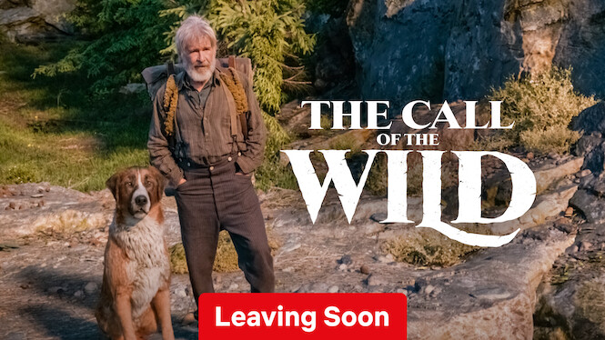 The Call of the Wild