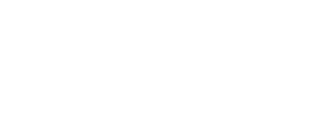 The Elementary School logo