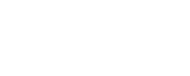 Lidice logo