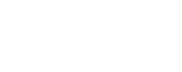 Shaun the Sheep: Adventures from Mossy Bottom logo