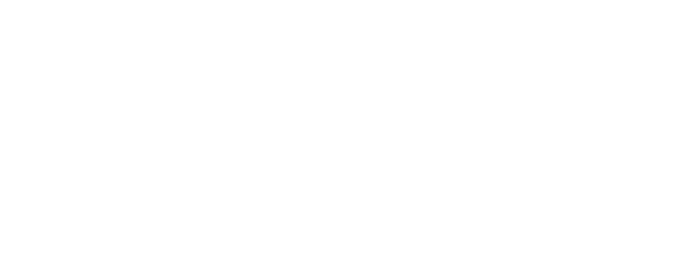 The 9th Precinct logo