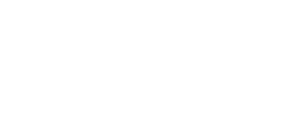 Salma's Big Wish logo