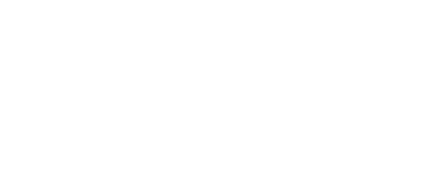 Married at First Sight logo