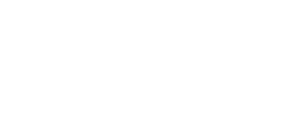 Married at First Sight logo