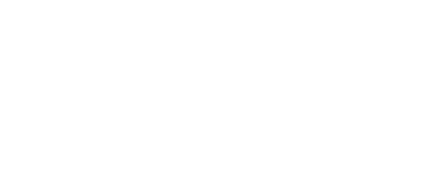 365 Days logo