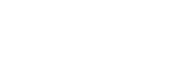 Blue Story logo