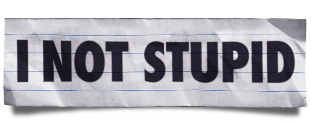 I Not Stupid logo