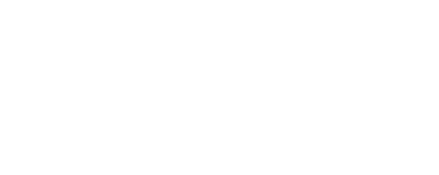 An American Pickle logo