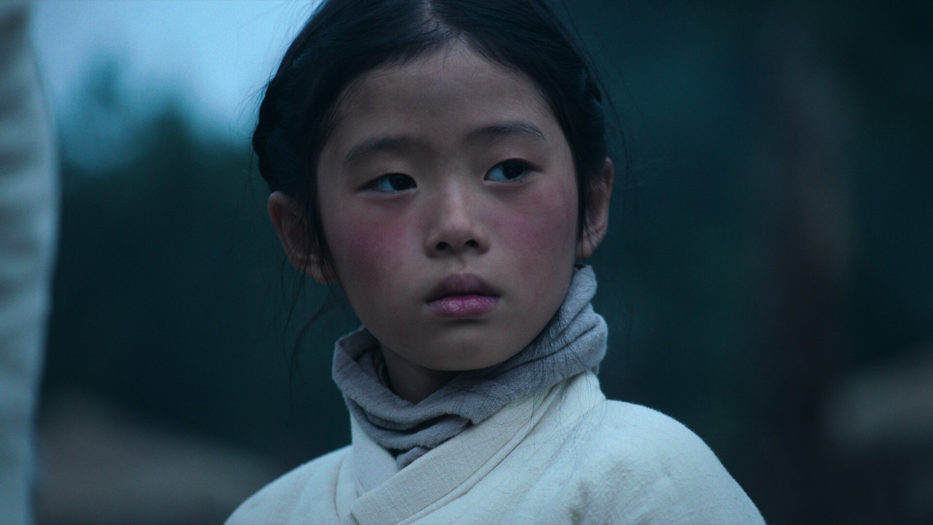 Kingdom: Ashin of the North