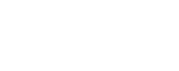 The Secret Mission logo