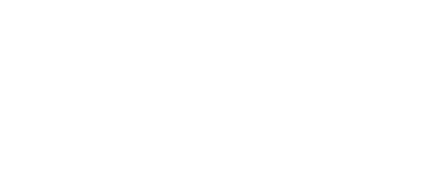 The Secret Mission logo