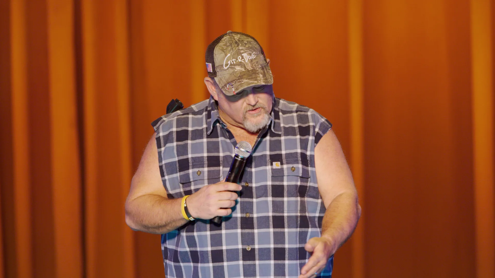 Larry the Cable Guy: Remain Seated