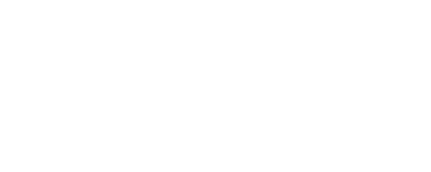 Paradise Next logo