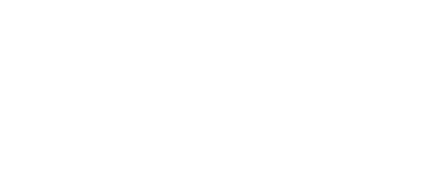 Stowaway logo