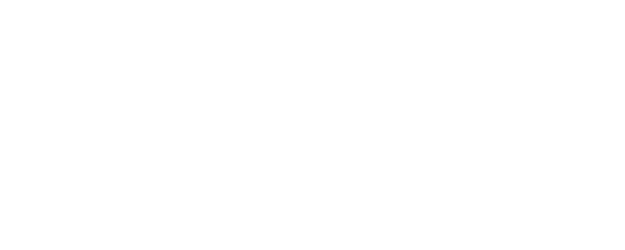 Dasvi logo