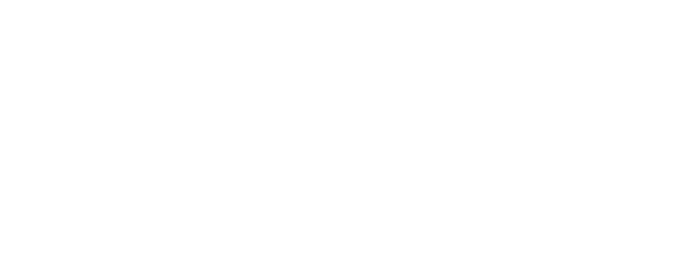 Dasvi logo