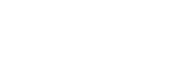She's the One logo