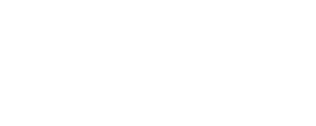 She's the One logo