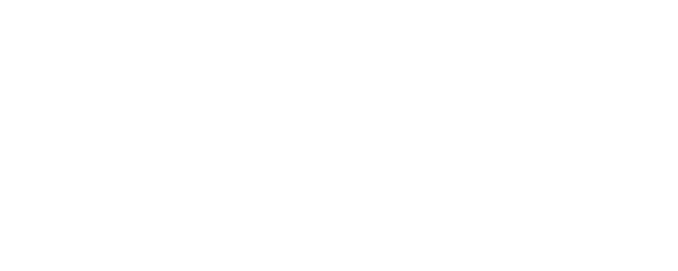 Exes Baggage logo