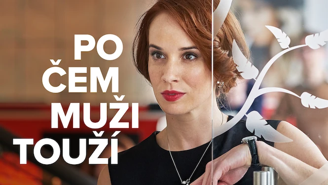 Po čem muži touží