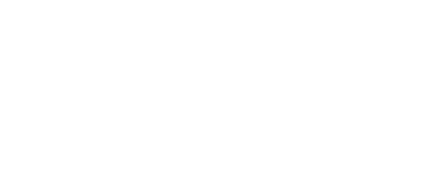 Teorie tygra logo