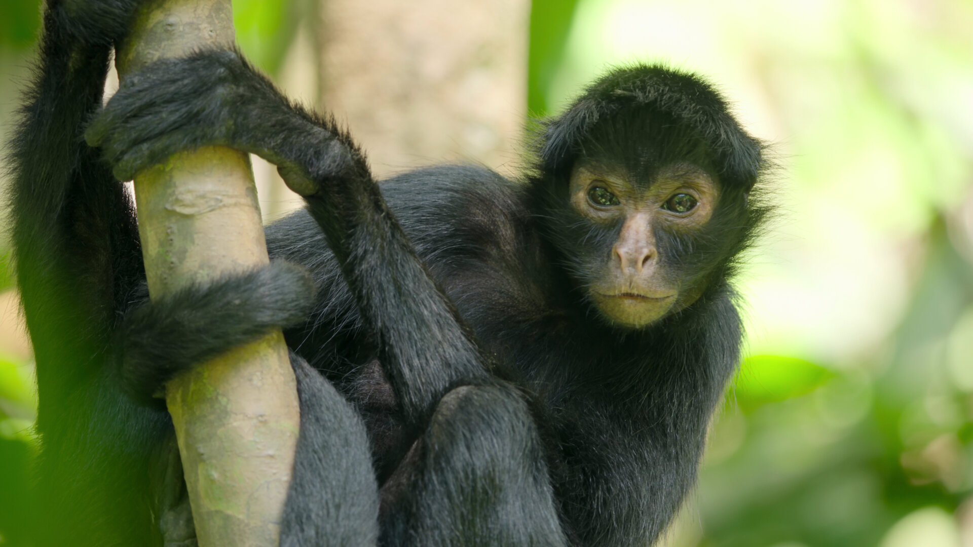 Breaking Boundaries: The Science Of Our Planet