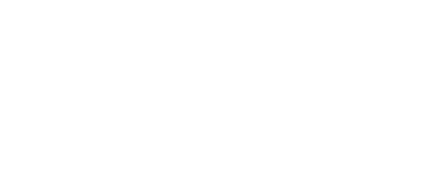 VIP logo