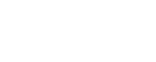 VIP logo
