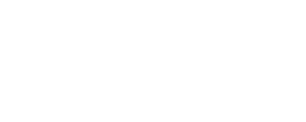 The Perfect Mother logo