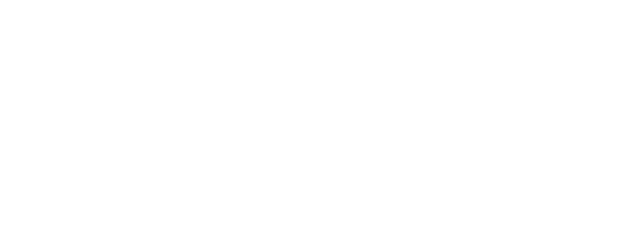 Die Hochzeit logo