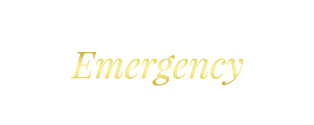 Emergency Interrogation Room logo