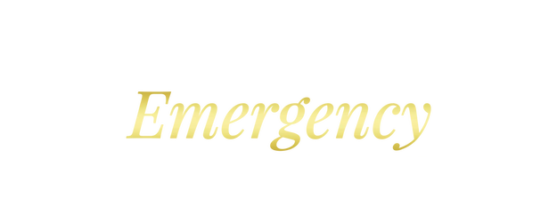 Emergency Interrogation Room logo