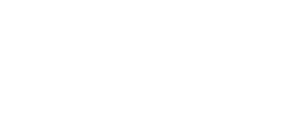 Anek logo