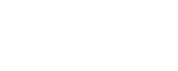 Anek logo