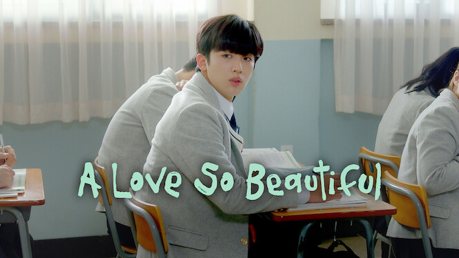 A Love So Beautiful
