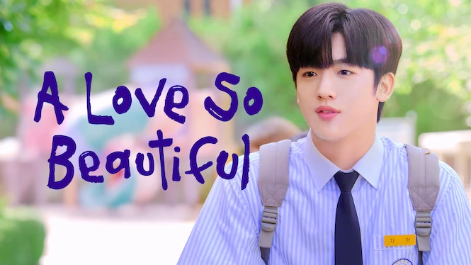 A Love So Beautiful