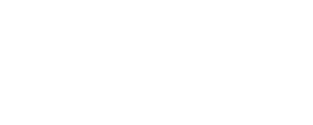 Irmã Dulce logo