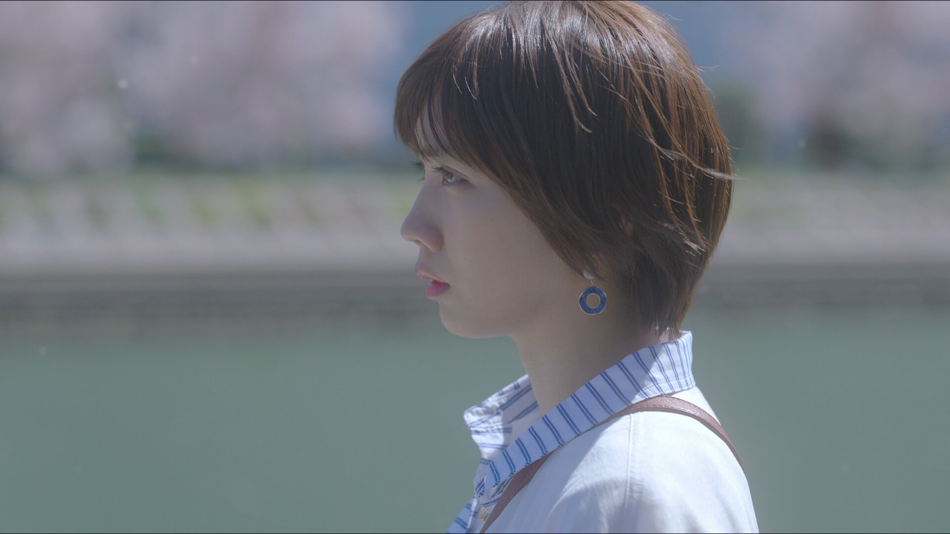 Love Like the Falling Petals