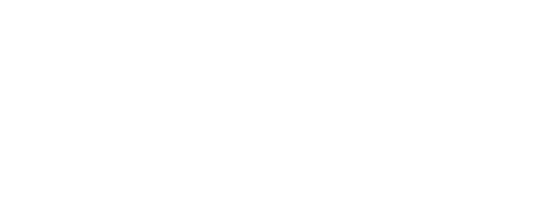 Valentina logo