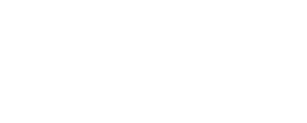 The Villagers logo