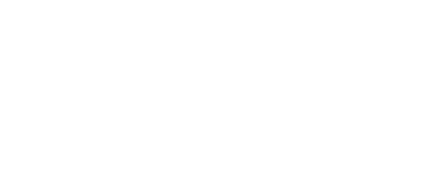 The Villagers logo