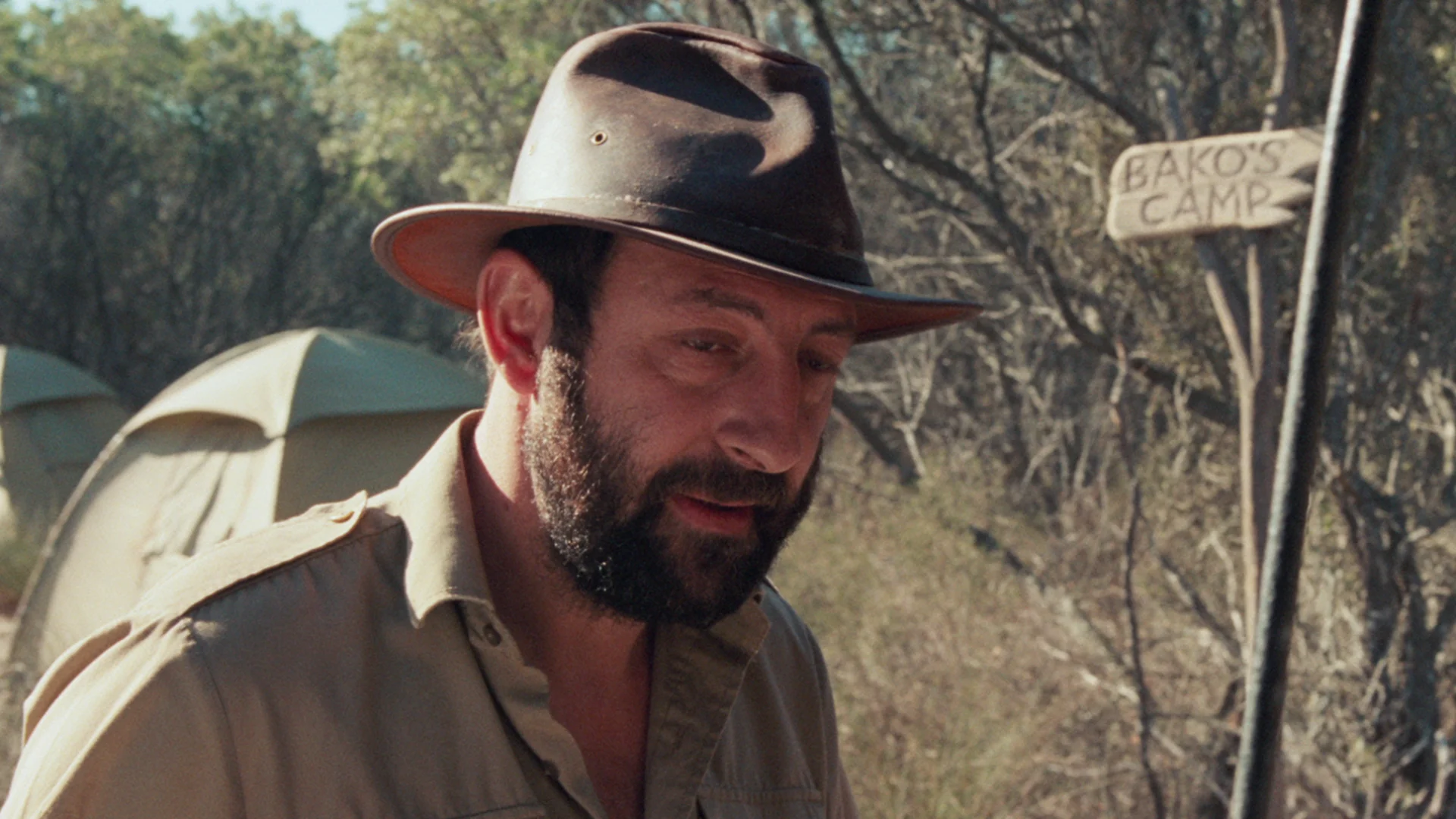 Safari