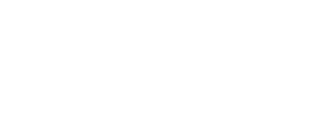 Ever Night logo